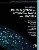 Télécharger le livre :  Cellular Migration and Formation of Axons and Dendrites