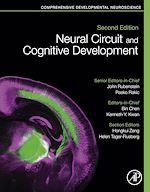Download this eBook Neural Circuit and Cognitive Development