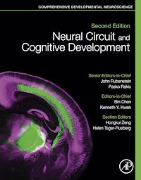 Téléchargez le livre :  Neural Circuit and Cognitive Development