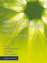 Téléchargez le livre :  Modified Clay and Zeolite Nanocomposite Materials