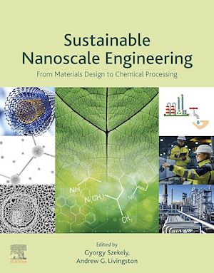 Téléchargez le livre :  Sustainable Nanoscale Engineering