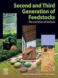 Téléchargez le livre :  Second and Third Generation of Feedstocks