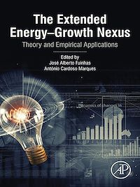 Téléchargez le livre :  The Extended Energy–Growth Nexus