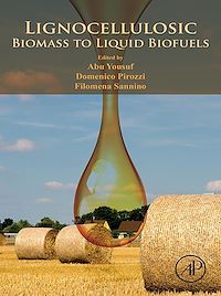 Téléchargez le livre :  Lignocellulosic Biomass to Liquid Biofuels