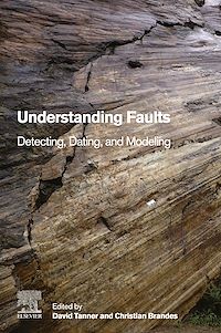 Téléchargez le livre :  Understanding Faults