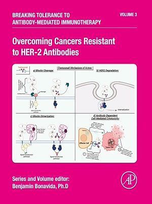 Download the eBook: Overcoming Cancers Resistant to HER-2 Antibodies