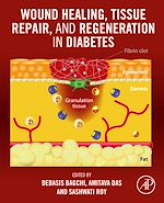Télécharger le livre :  Wound Healing, Tissue Repair, and Regeneration in Diabetes