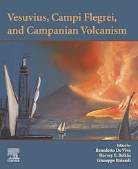 Téléchargez le livre :  Vesuvius, Campi Flegrei, and Campanian Volcanism