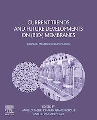 Téléchargez le livre :  Current Trends and Future Developments on (Bio-) Membranes