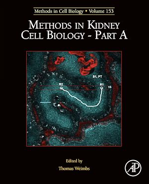 Téléchargez le livre :  Methods in Kidney Cell Biology Part A