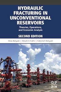 Téléchargez le livre :  Hydraulic Fracturing in Unconventional Reservoirs
