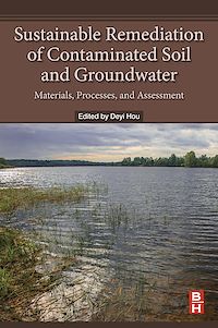 Téléchargez le livre :  Sustainable Remediation of Contaminated Soil and Groundwater