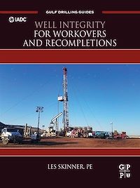 Téléchargez le livre :  Well Integrity for Workovers and Recompletions