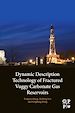 Télécharger le livre :  Dynamic Description Technology of Fractured Vuggy Carbonate Gas Reservoirs