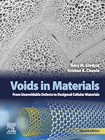 Télécharger le livre :  Voids in Materials