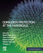 Télécharger le livre :  Corrosion Protection at the Nanoscale