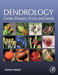 Téléchargez le livre :  Dendrology: Cones, Flowers, Fruits and Seeds