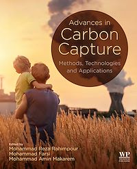 Téléchargez le livre :  Advances in Carbon Capture