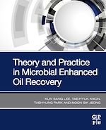 Télécharger le livre :  Theory and Practice in Microbial Enhanced Oil Recovery