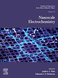 Téléchargez le livre :  Nanoscale Electrochemistry