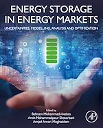 Télécharger le livre :  Energy Storage in Energy Markets