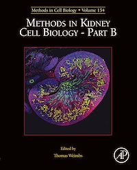 Téléchargez le livre :  Methods in Kidney Cell Biology Part B