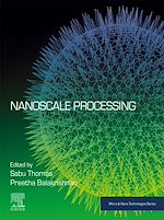 Télécharger le livre :  Nanoscale Processing