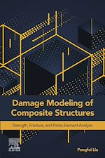 Télécharger le livre :  Damage Modeling of Composite Structures