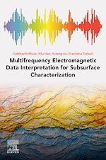 Télécharger le livre :  Multifrequency Electromagnetic Data Interpretation for Subsurface Characterization