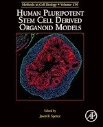 Télécharger le livre :  Human Pluripotent Stem Cell Derived Organoid Models