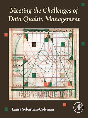 Téléchargez le livre :  Meeting the Challenges of Data Quality Management