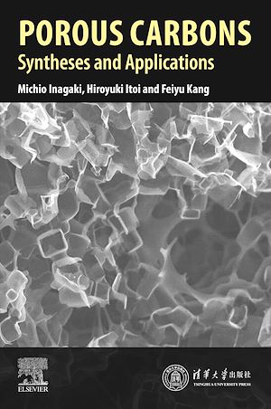 Download the eBook: Porous Carbons