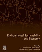 Télécharger le livre :  Environmental Sustainability and Economy