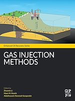 Télécharger le livre :  Gas Injection Methods