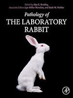 Télécharger le livre :  Pathology of the Laboratory Rabbit