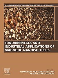 Téléchargez le livre :  Fundamentals and Industrial Applications of Magnetic Nanoparticles
