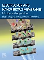 Télécharger le livre :  Electrospun and Nanofibrous Membranes