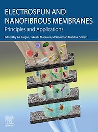 Téléchargez le livre :  Electrospun and Nanofibrous Membranes