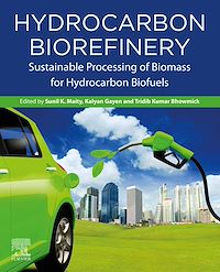 Téléchargez le livre :  Hydrocarbon Biorefinery