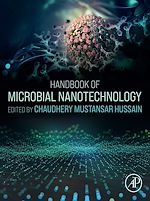 Télécharger le livre :  Handbook of Microbial Nanotechnology