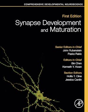 Téléchargez le livre :  Synapse Development and Maturation