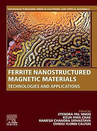 Téléchargez le livre :  Ferrite Nanostructured Magnetic Materials