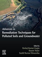 Télécharger le livre :  Advances in Remediation Techniques for Polluted Soils and Groundwater