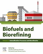 Télécharger le livre :  Biofuels and Biorefining