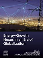 Télécharger le livre :  Energy-Growth Nexus in an Era of Globalization