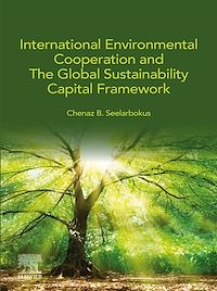 Téléchargez le livre :  International Environmental Cooperation and The Global Sustainability Capital Framework