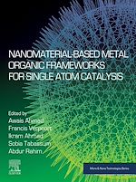 Télécharger le livre :  Nanomaterial-Based Metal Organic Frameworks for Single Atom Catalysis
