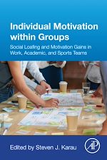 Télécharger le livre :  Individual Motivation within Groups