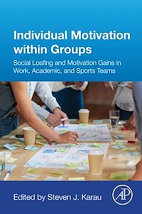 Téléchargez le livre :  Individual Motivation within Groups