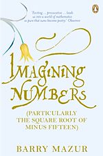 Download this eBook Imagining Numbers